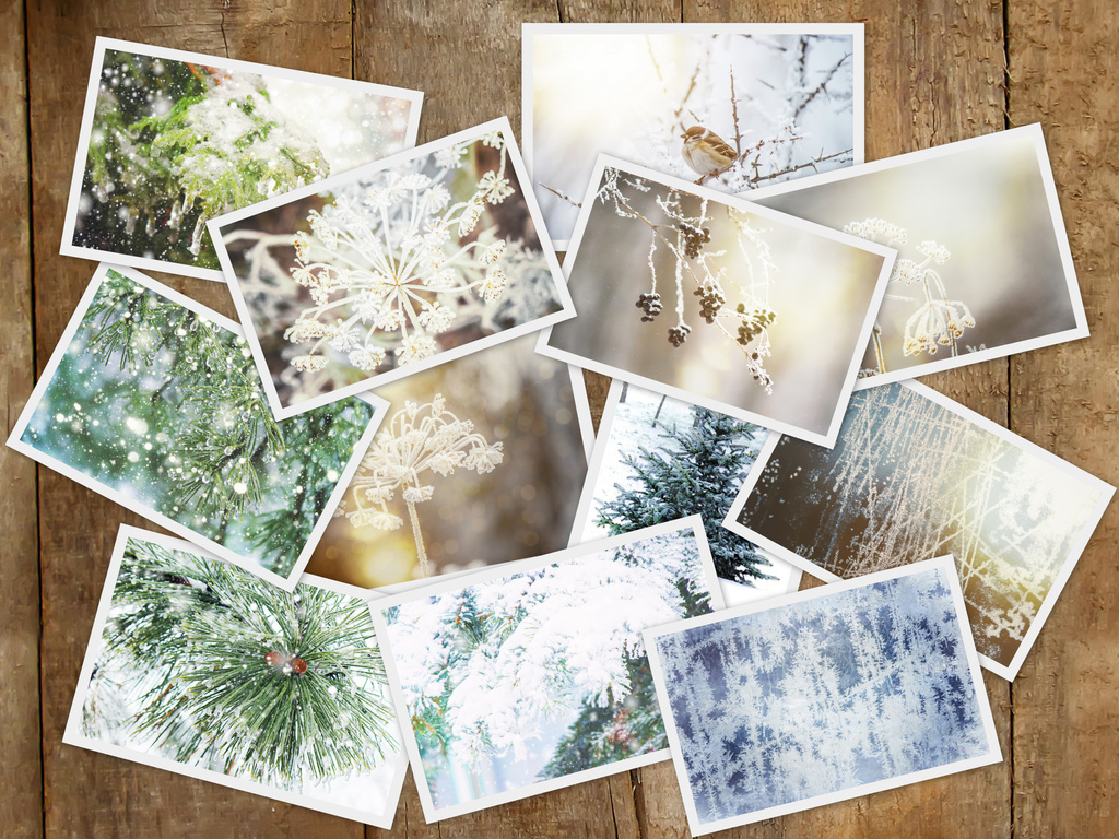 Winter photo collage. Selective focus. nature winter